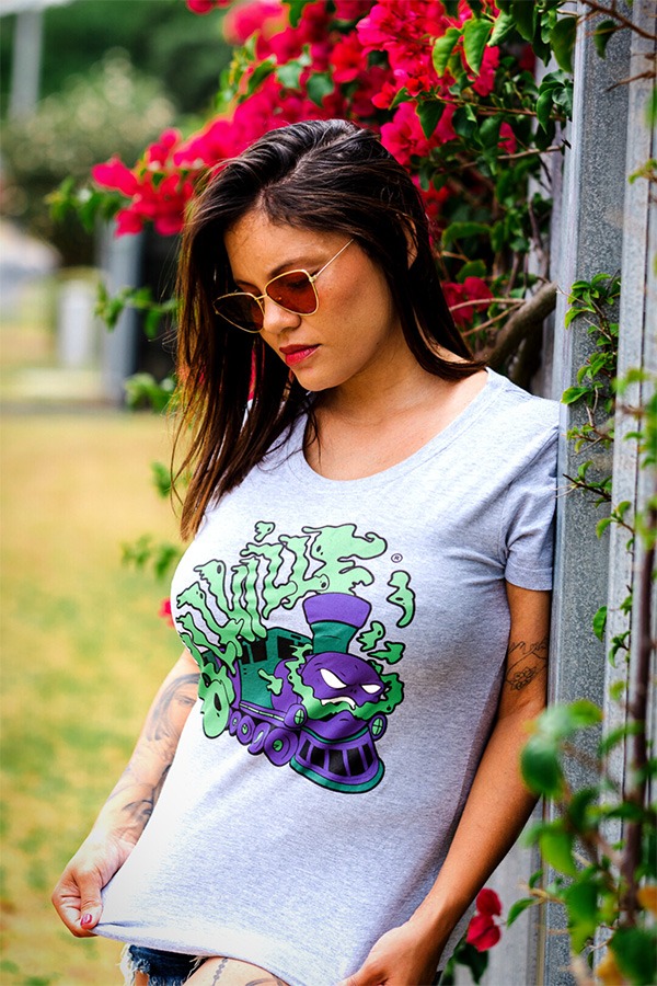 sir-topham-hatt-ladies-melange-tee-front